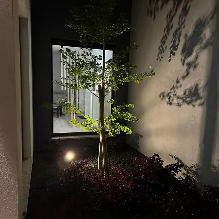 Ginkgo Biloba House * 톤델라