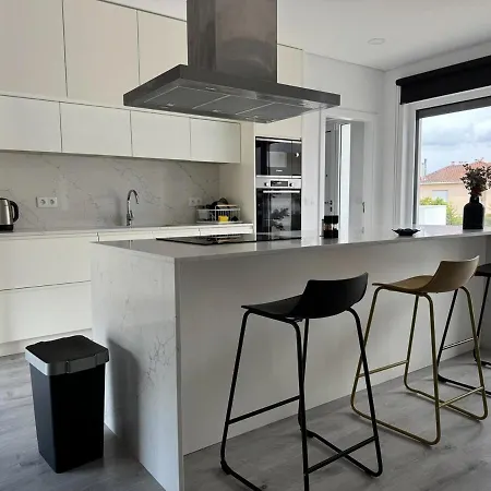 Ginkgo Biloba House 톤델라