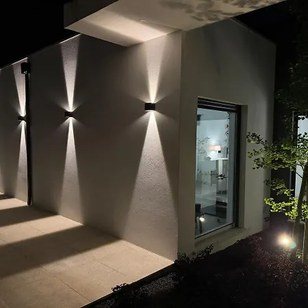 Ginkgo Biloba House Villa Tondela