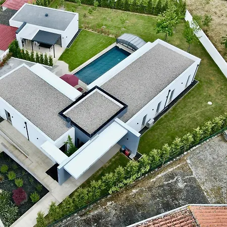 Ginkgo Biloba House Tondela
