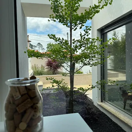 Villa Ginkgo Biloba House Tondela